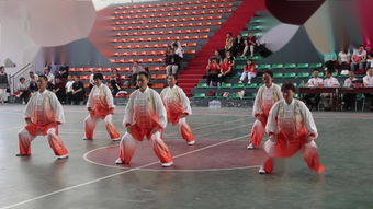武術(shù) 修身與傳承的藝術(shù)
